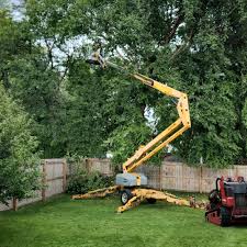 Lawn Grading and Leveling in Greenbrier, TN